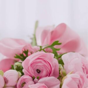 Vintage Violets