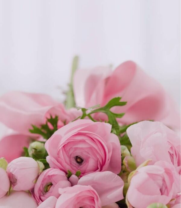 Vintage Violets